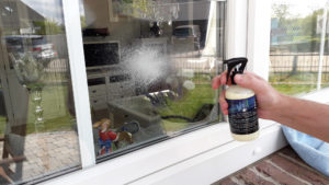 WS1 Fenster